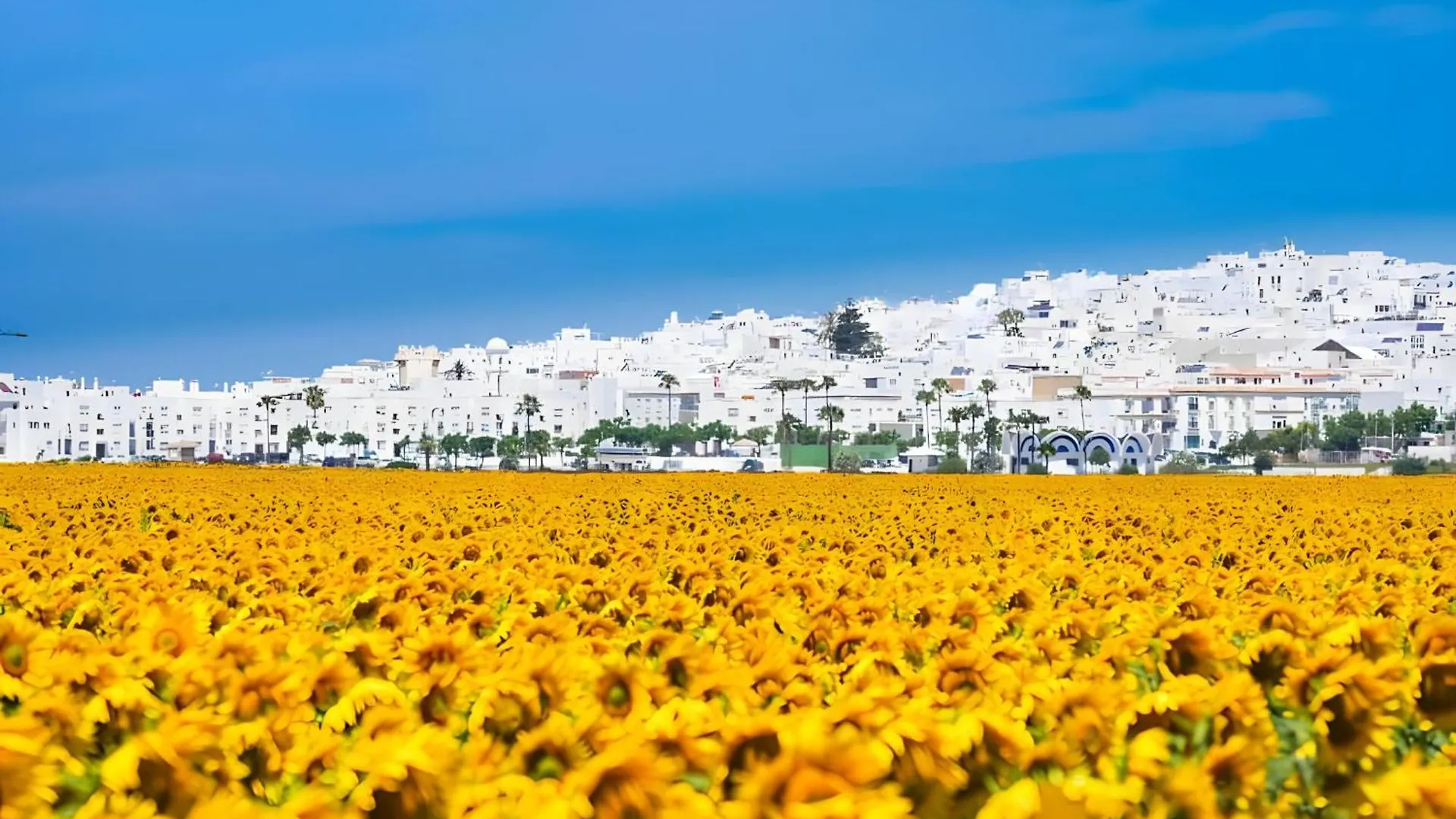 Casa En Zona Centrica Solo Familias Y Parejas Villa Conil De La Frontera Spain